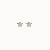 Floral Small Diamond Earrings