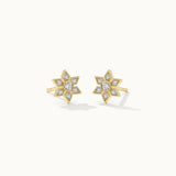 Narcissus Small Diamond Earrings, 14K Gold Vermeil, 1/5 ct Lab Grown Diamond-3